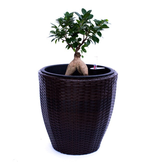 Elegant Einrichten | Pflanzkübel  | Polyrattan | rundkonisch | D37xH37cm | coffee braun