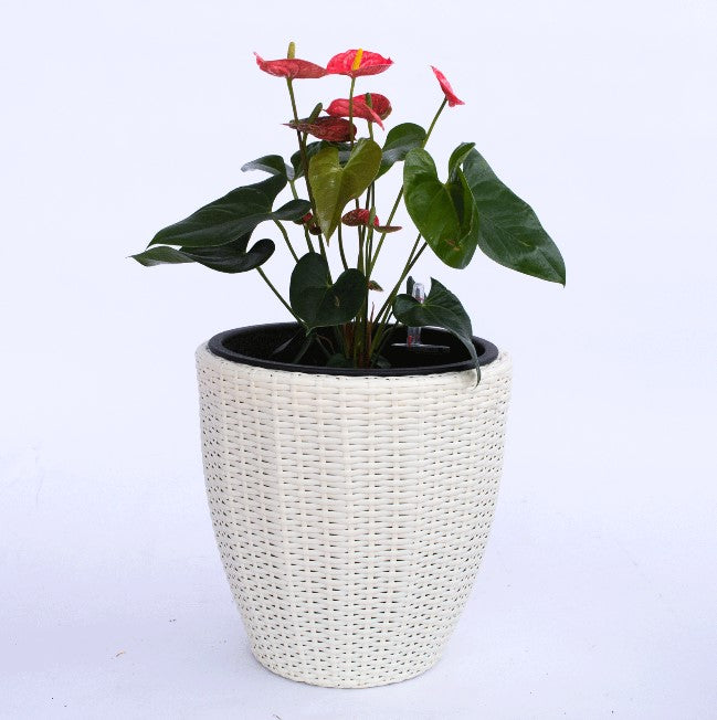 Elegant Einrichten | Pflanzkübel  | Polyrattan | rundkonisch | D30xH30cm | creme weiß.