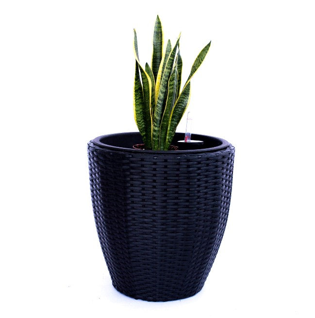 Elegant Einrichten | Pflanzkübel  | Polyrattan | rundkonisch | D37xH37cm | schwarz.