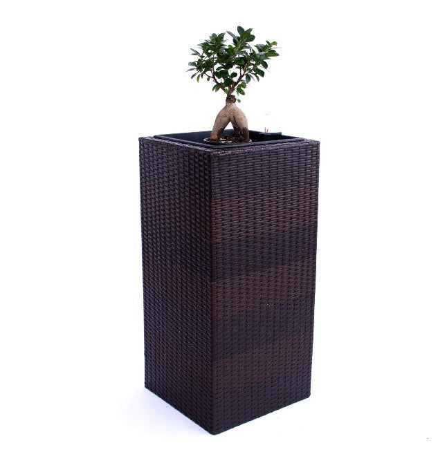 Elegant Einrichten | Pflanzkübel | Polyrattan | Säule | 40x40x84cm | Coffee-braun