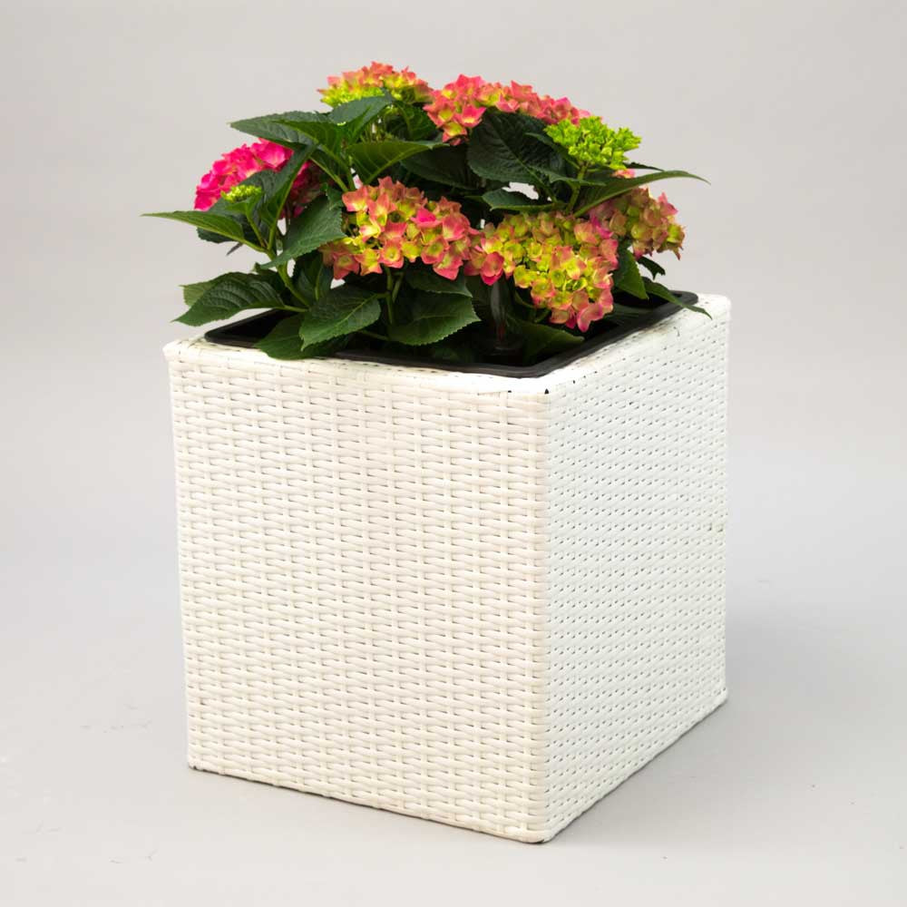 Elegant Einrichten | Pflanzkübel | Polyrattan | quadratisch | 38x38x40cm | weiß
