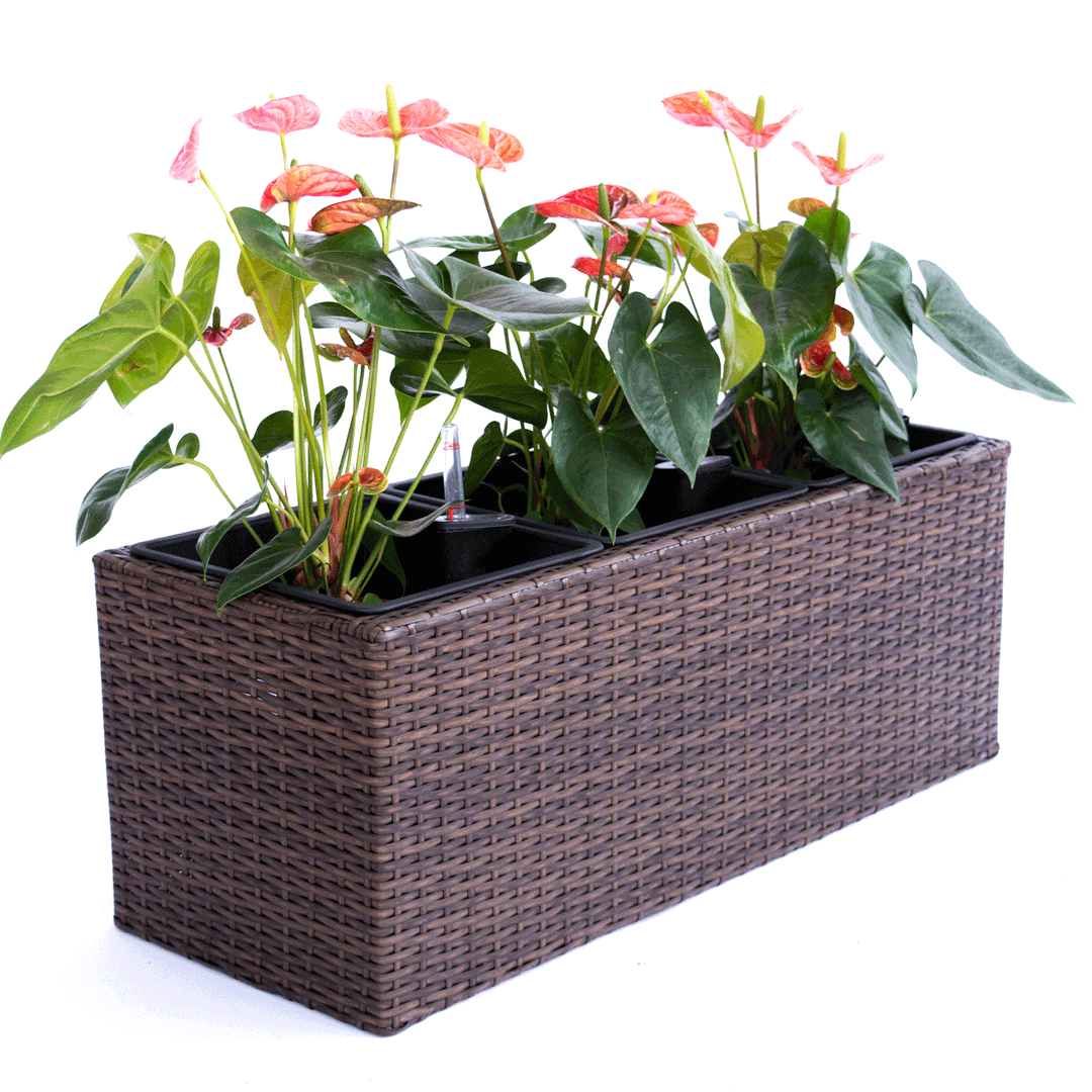 Elegant Einrichten | Pflanzkübel | Polyrattan | rechteckig | 82x30x29cm | mocca