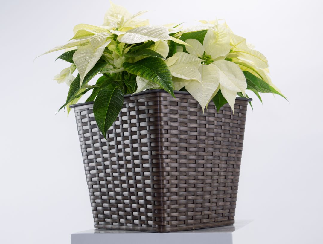 Elegant Einrichten | Pflanzkübel | quadratisch konisch  | Polyrattan | 34x34x31cm | Mocca