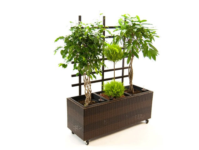 Elegant Einrichten | Pflanzkübel | Polyrattan | mit Rankgitter | rechteckig |  106x38x130cm | mocca.