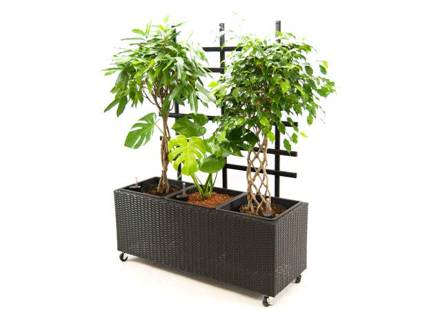 Elegant Einrichten | Pflanzkübel | Polyrattan | mit Rankgitter | rechteckig |  106x38x130cm | schwarz.