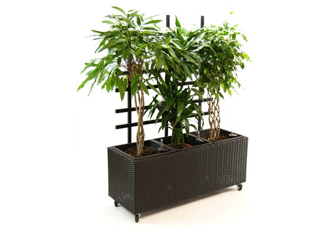 Elegant Einrichten | Pflanzkübel | Polyrattan | mit Rankgitter | rechteckig |  106x38x130cm | schwarz.