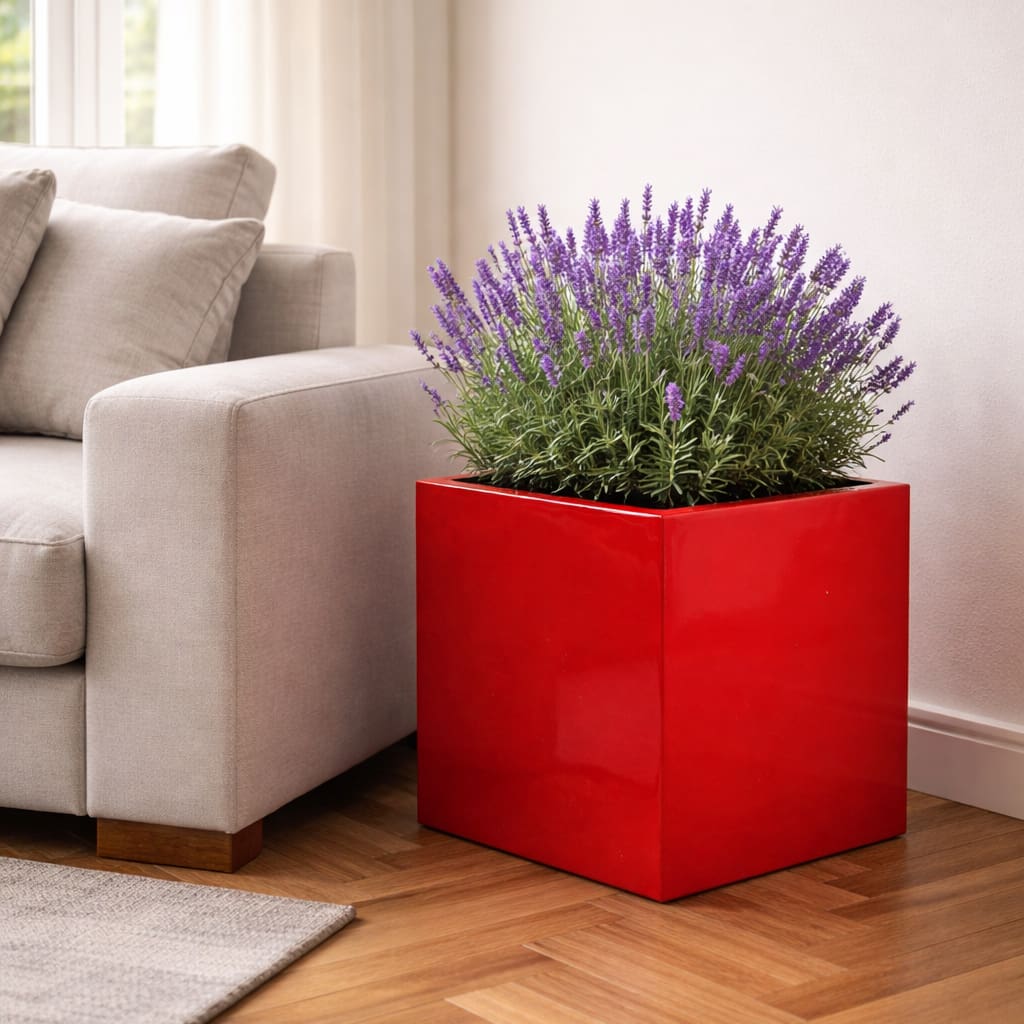 Pflanzkübel Fiberglas quadratisch hochglanz rot mit Lavendel im Wohnzimmer [KI-Lifestyle]