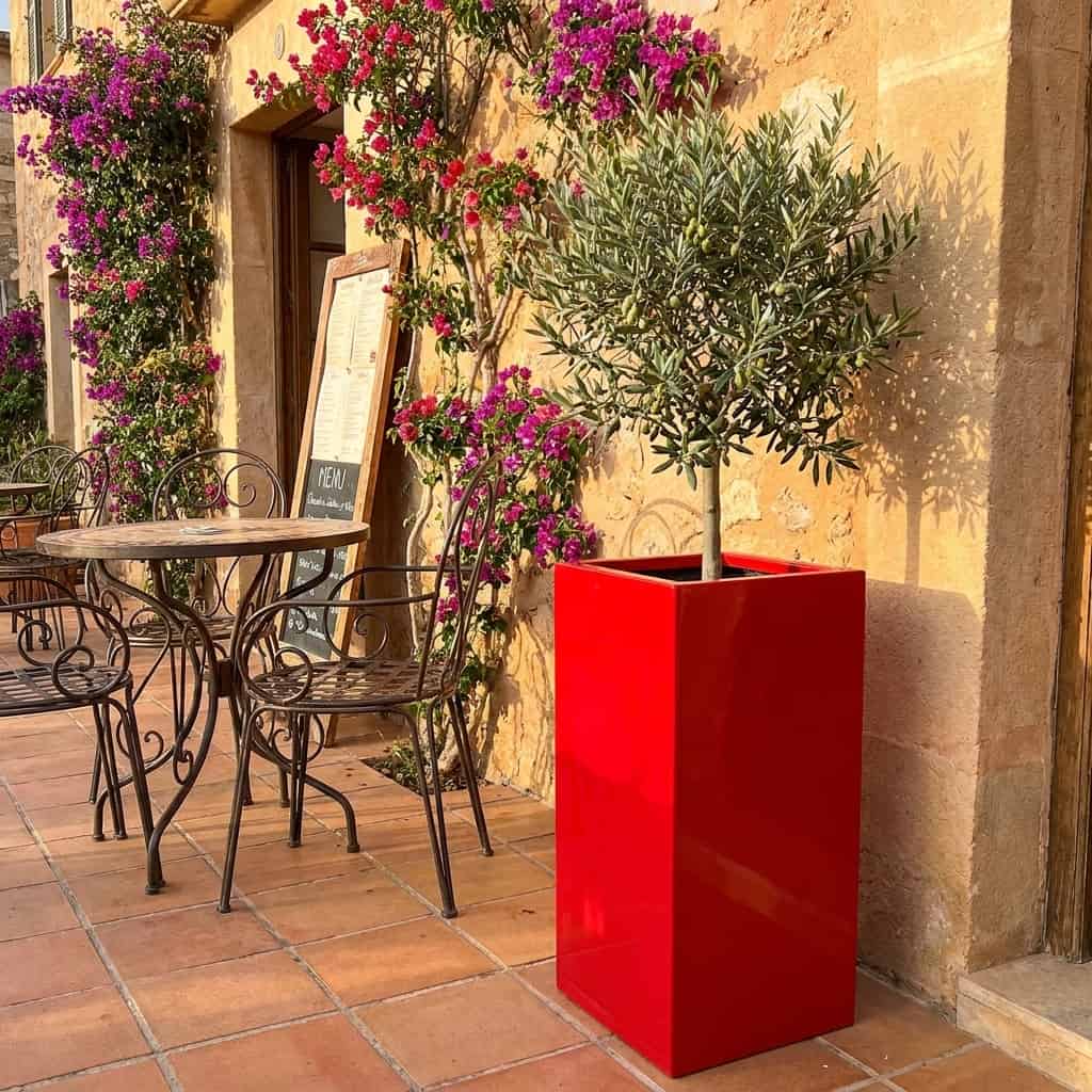 Roter Pflanzsäule in Hochglanz-Optik mit Olivenbaum auf einer mediterranen Restaurantterrasse [KI-Lifestyle]