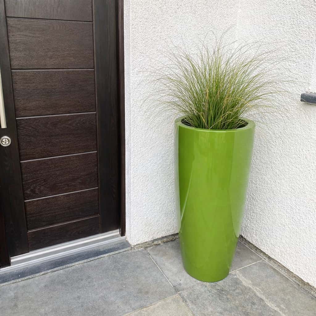 Pflanzkübel Fiberglas rund konisch hochglanz avocado grün mit Ziergras am Hauseingang [KI-Lifestyle]