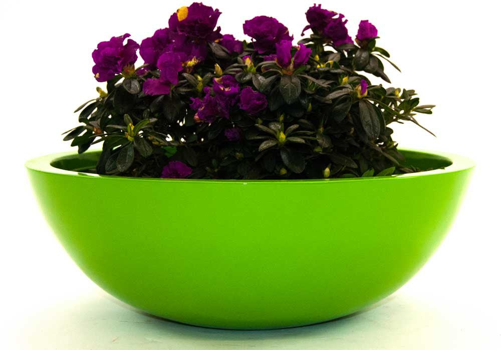 Elegant Einrichten | Pflanzkübel | Fiberglas | rund | D46xH16cm | hochglanz avocado grün