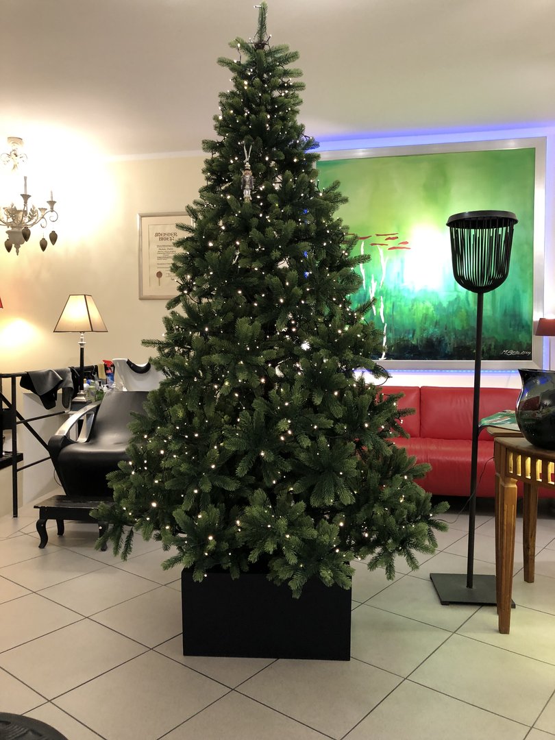 Pflanzkübel Fiberglas niedrig quadratisch 60x60x30cm schwarz-matt mit beleuchtetem Weihnachtsbaum in einem Salon