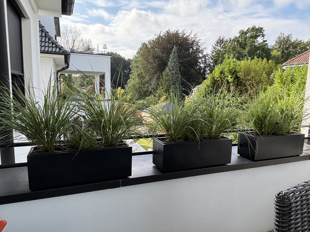 Pflanzkübel Fiberglas rechteckig 61x21x20cm schwarz-matt mit Ziergräsern, drei Tröge in Reihe auf einer Balkonbrüstung