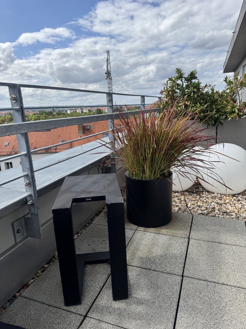 Pflanzkübel Fiberglas zylindrisch D40xH40cm schwarz-matt mit rotem Ziergras auf einer Dachterrasse