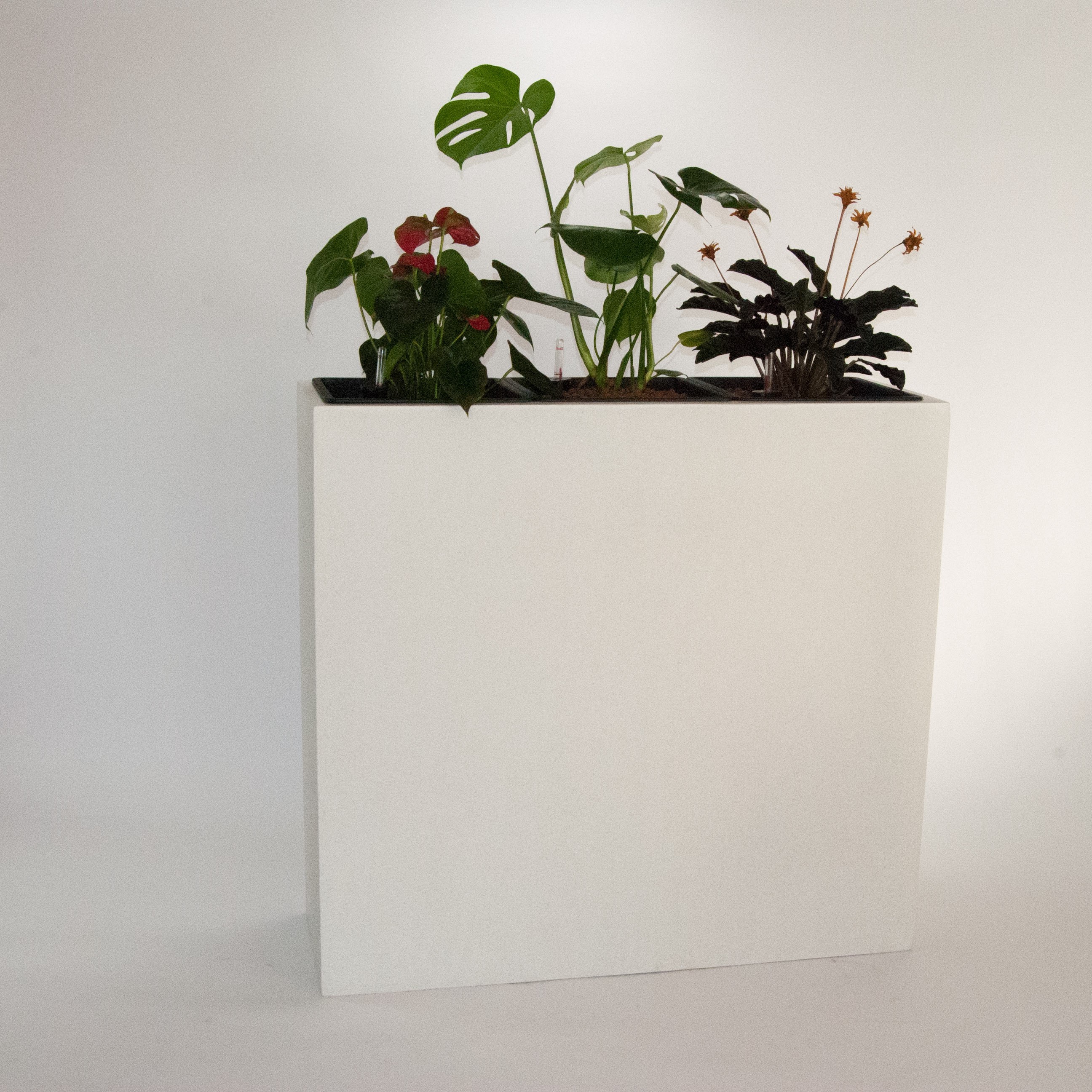 Pflanztrog, Pflanzkübel Fiberglas als Raumteiler 84x30x80cm perlmutt weiß.